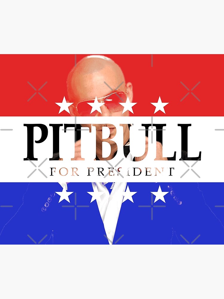 Pitbull Rapper For President 2024 Poster For Sale By JanMally Redbubble   Flat,750x,075,f Pad,750x1000,f8f8f8 