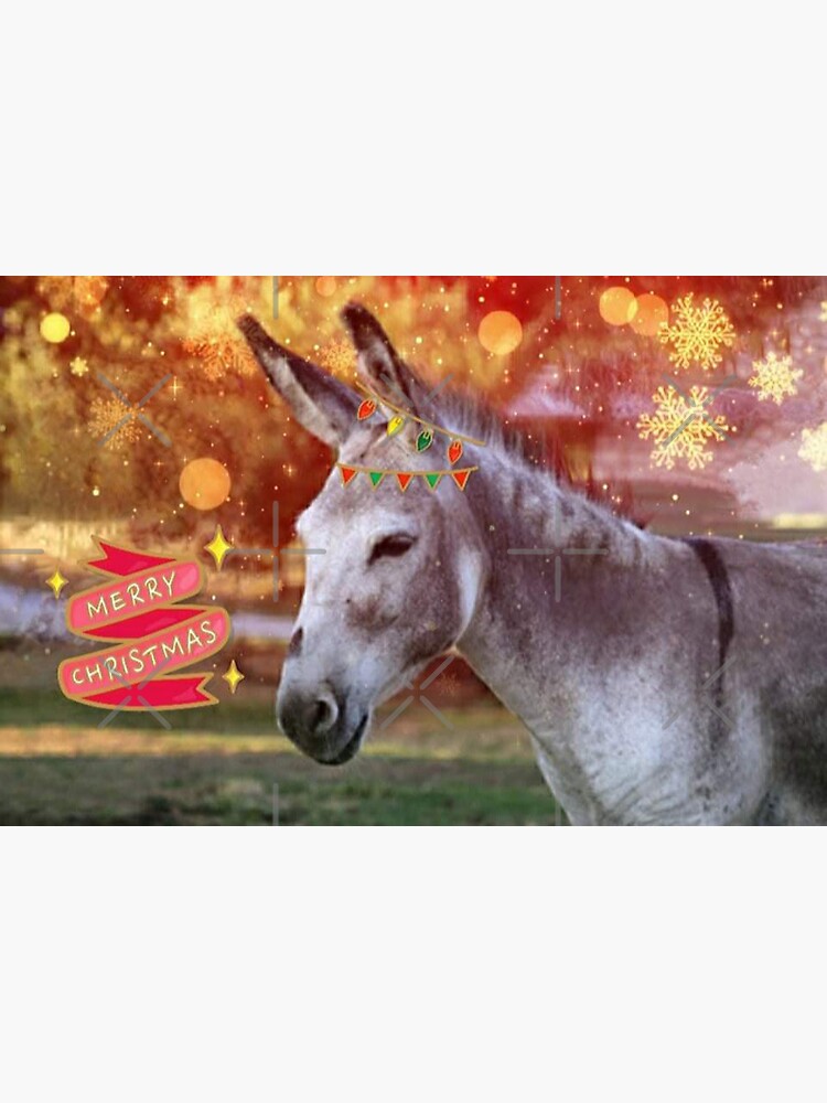 Hee haw christmas play