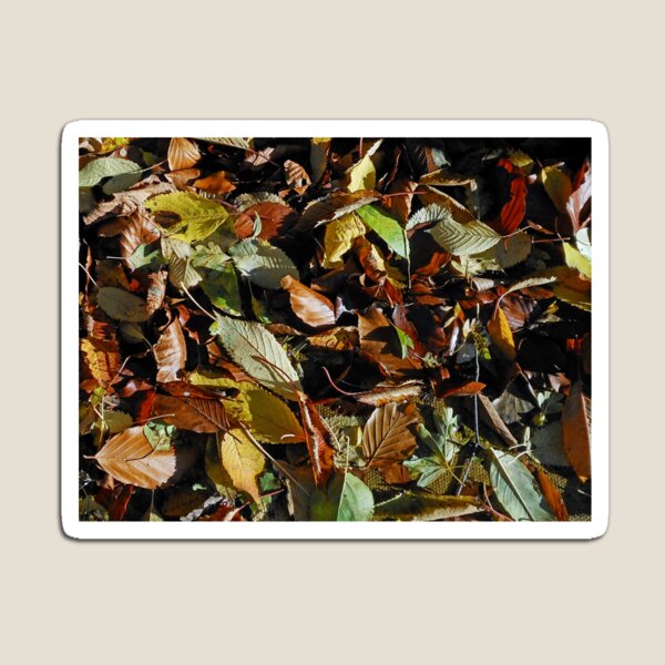 Artikelvorschau, Sonnenbeschienene Herbstblätter entworfen und verkauft von BlueMidnight.