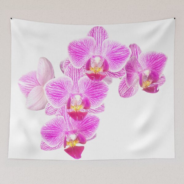 Artikelvorschau, ORCHIDEEN entworfen und verkauft von creativspirit.