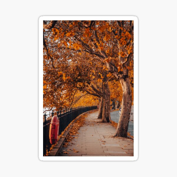 Item preview, Chelsea Embankment designed and sold by Rhiannon Phillips.