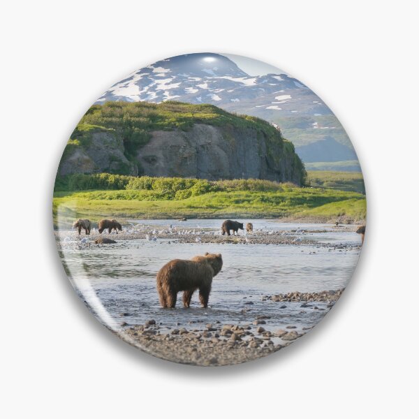 Artikelvorschau, Katmai-Nationalpark entworfen und verkauft von JoshuaDarbon94.