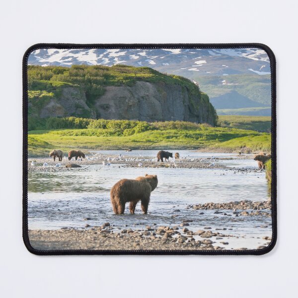 Item preview, Katmai National Park designed and sold by JoshuaDarbon94.