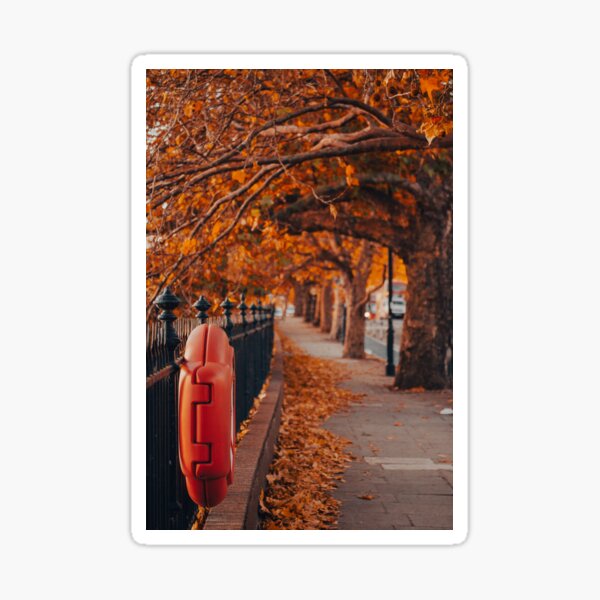 Item preview, Chelsea Embankment designed and sold by Rhiannon Phillips.