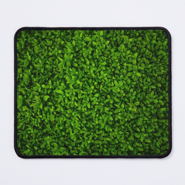 Item preview, Green Fence Picture Gifts For Nature Lovers designed and sold by PinkPandaDesign.