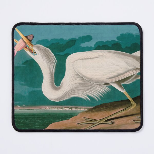Item preview, Great White Heron Birds of America Audubon Illustration Bird Lovers Gift designed and sold by VintageArchive.