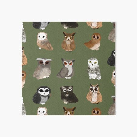 All different kinds of hoots! Art Board Print