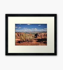 Sagebrush Framed Print