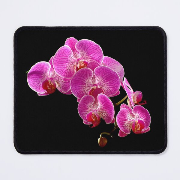 Item preview, ORCHIDS designed and sold by creativspirit.