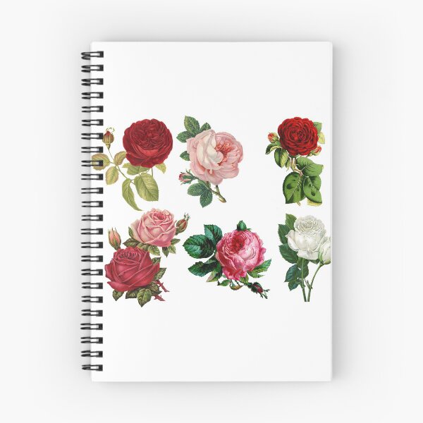 Artikelvorschau, Bunte Rosen entworfen und verkauft von Robert-Store.