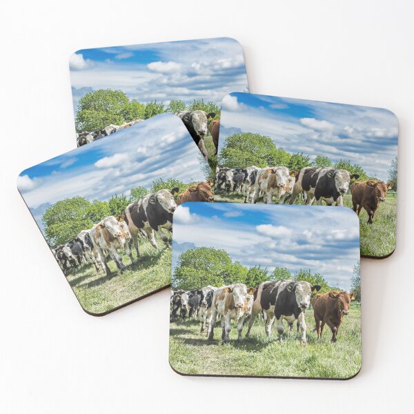 Item preview, #239 Friesian Cow Herd Along the Banks of the River Soar at Ratcliffe on Soar designed and sold by phutball.