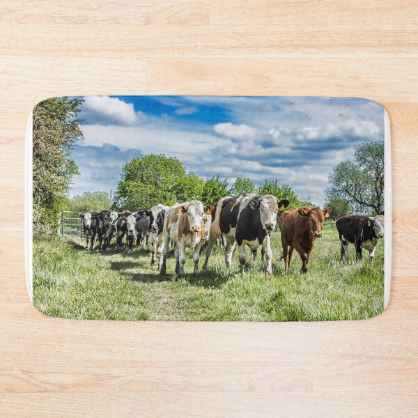 Item preview, #239 Friesian Cow Herd Along the Banks of the River Soar at Ratcliffe on Soar designed and sold by phutball.