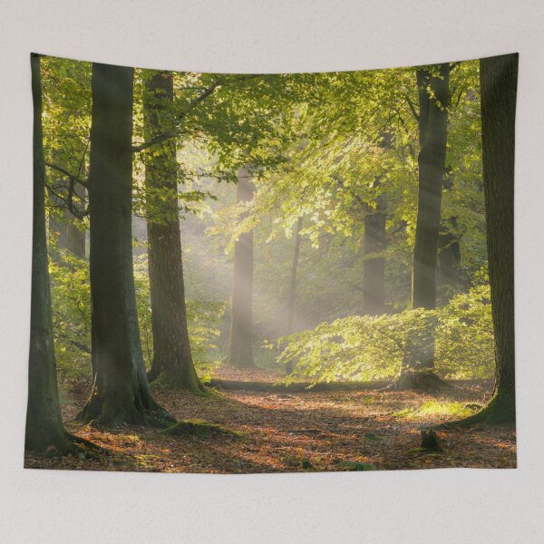 Item preview, Woodland Sunlight designed and sold by Craig Joiner.