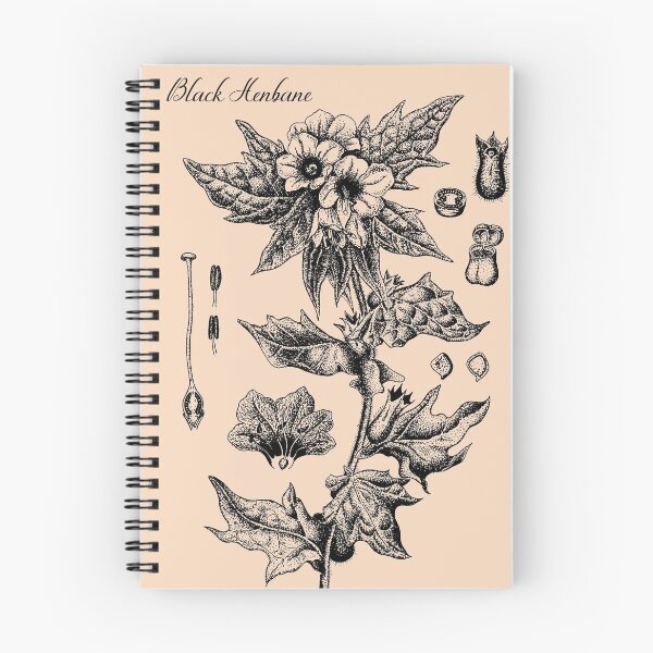 Item preview, Black Henbane - Herbary of Witchcraft designed and sold by The Purple Owl Cult.