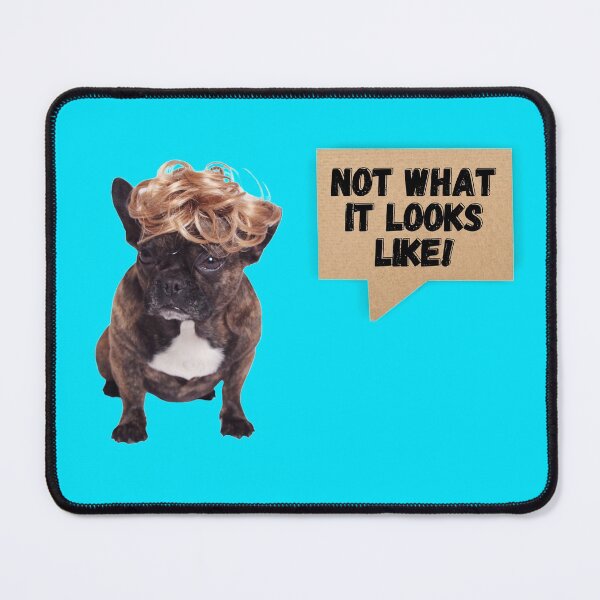 Item preview, Dogs In Wigs chihuahua Not What It Looks Like! Funny designed and sold by Rainbows Rock.