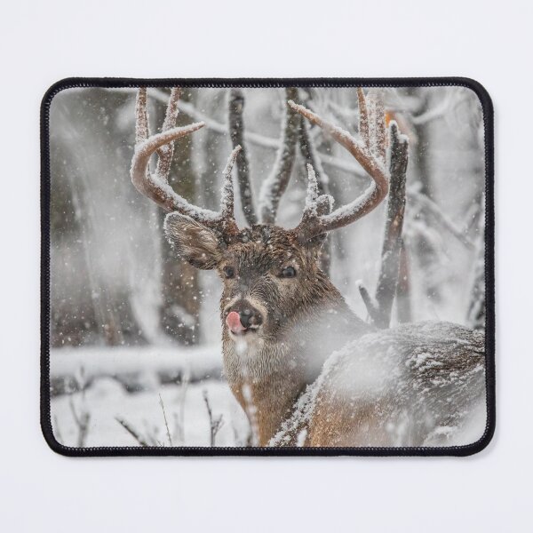 Item preview, Beautiful Wild White Tail Buck Covered in Snow   designed and sold by Vargulich.
