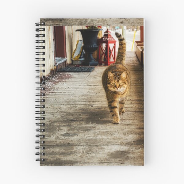Item preview, Country Store Cat 1 designed and sold by Robert Alsop.