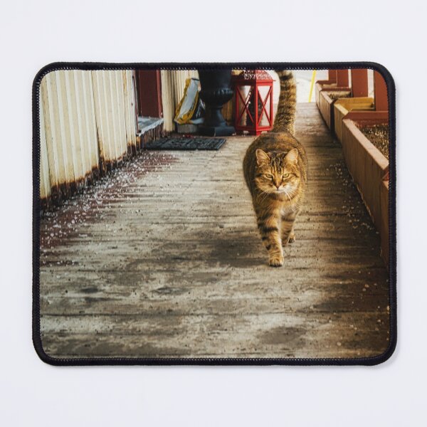 Item preview, Country Store Cat 1 designed and sold by Robert Alsop.