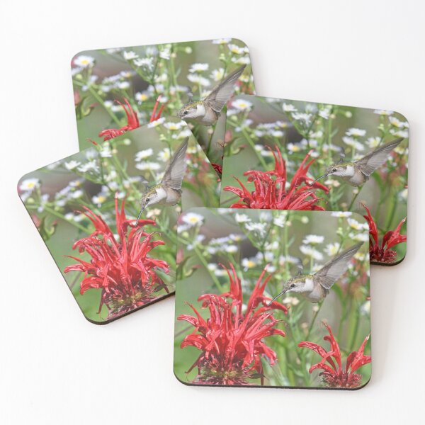 Item preview, Ruby-throated Hummingbird Photo designed and sold by LauraWolfArtist.