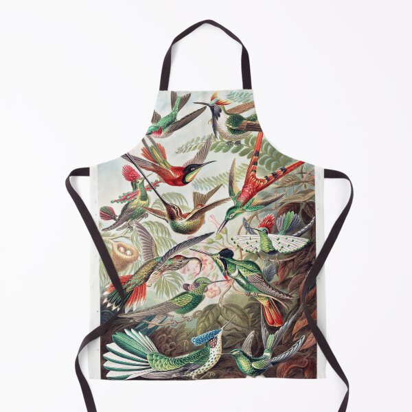 Item preview, Trochilidae–Kolibris from Kunstformen der Natur (1904) by Ernst Haeckel designed and sold by soulstop.