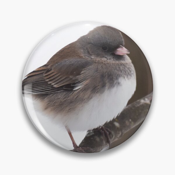 Item preview, Dark-eyed Junco Photo designed and sold by LauraWolfArtist.