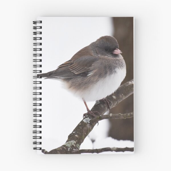 Item preview, Dark-eyed Junco Photo designed and sold by LauraWolfArtist.