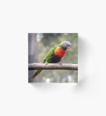 Out on a Limb! Acrylic Block