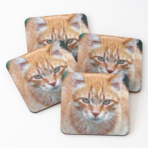 Item preview, Ginger Cat designed and sold by Bob Martin.
