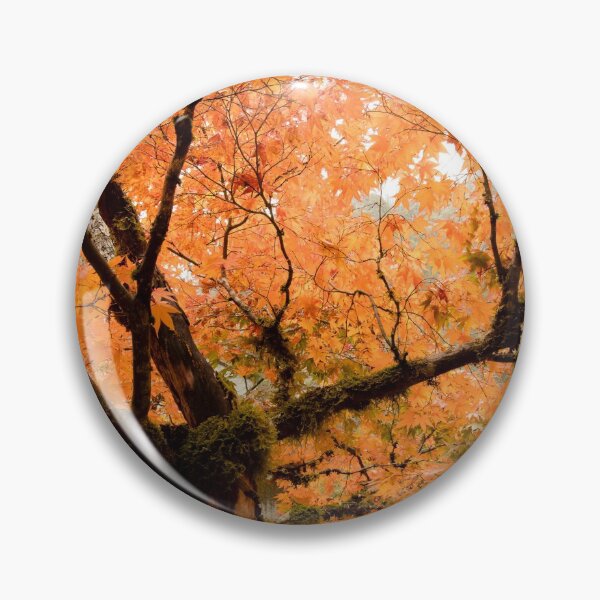 Item preview, Beautiful Maple Tree! designed and sold by Jim Stiles.
