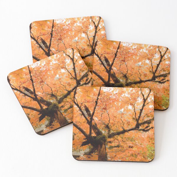 Item preview, Beautiful Maple Tree! designed and sold by Jim Stiles.