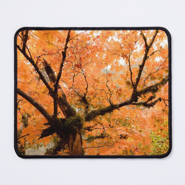 Item preview, Beautiful Maple Tree! designed and sold by Jim Stiles.