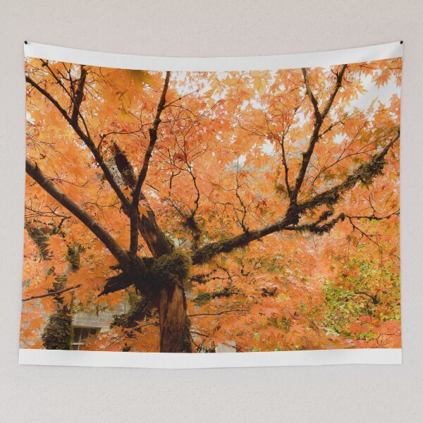 Item preview, Beautiful Maple Tree! designed and sold by Jim Stiles.