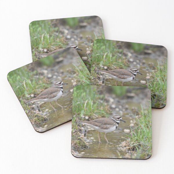Item preview, Killdeer Photo designed and sold by LauraWolfArtist.
