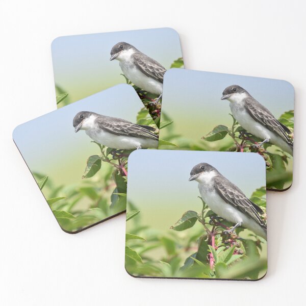 Item preview, Eastern Kingbird Photo designed and sold by LauraWolfArtist.