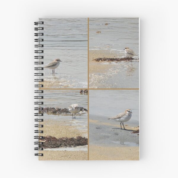 Item preview, Hooded Plover designed and sold by Trish Meyer.