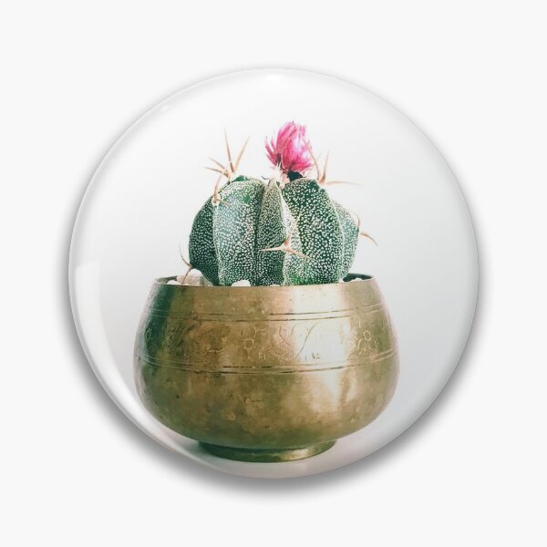 Item preview, Cactus in Bloom designed and sold by SandraWidner.