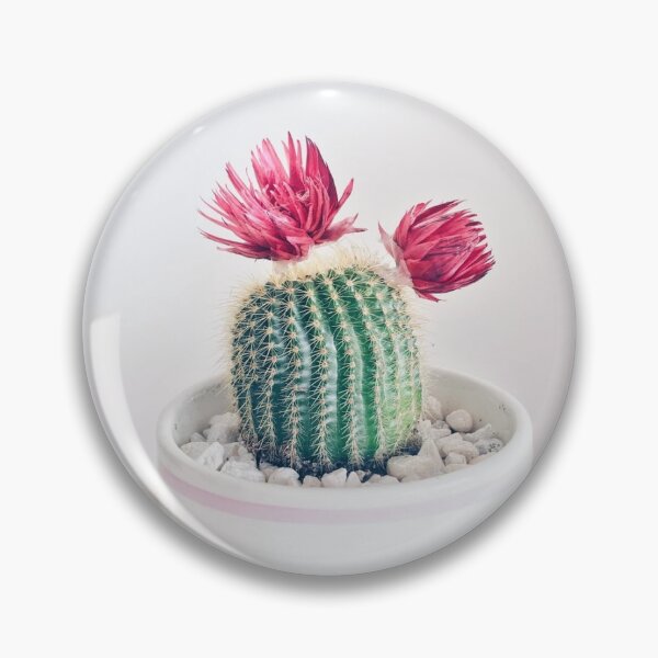 Item preview, Cacti in Bloom designed and sold by SandraWidner.