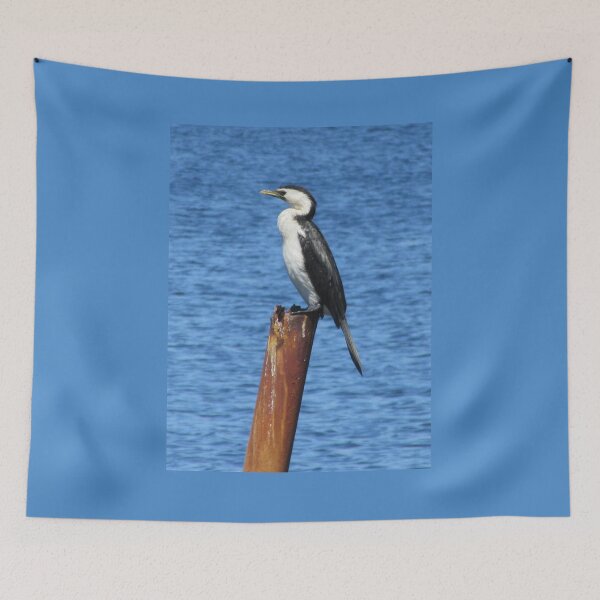 Item preview, Little Pied Cormorant On The Swan River designed and sold by lezvee.