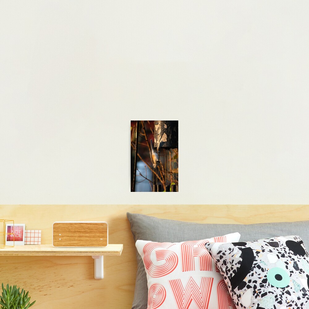 Item preview, Photographic Print designed and sold by R-York.