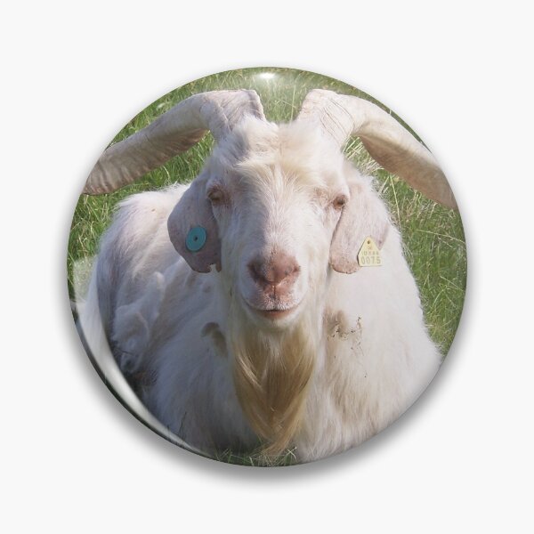 Item preview, Goat with Beautiful Horns designed and sold by dogplay.