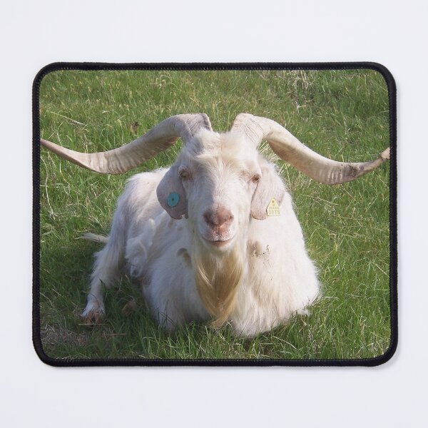 Item preview, Goat with Beautiful Horns designed and sold by dogplay.