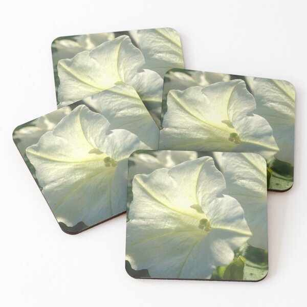 Item preview, White Petunias in the Sun designed and sold by KimSyOk.