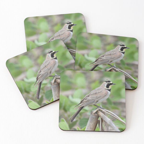 Item preview, Horned Lark Photo designed and sold by LauraWolfArtist.