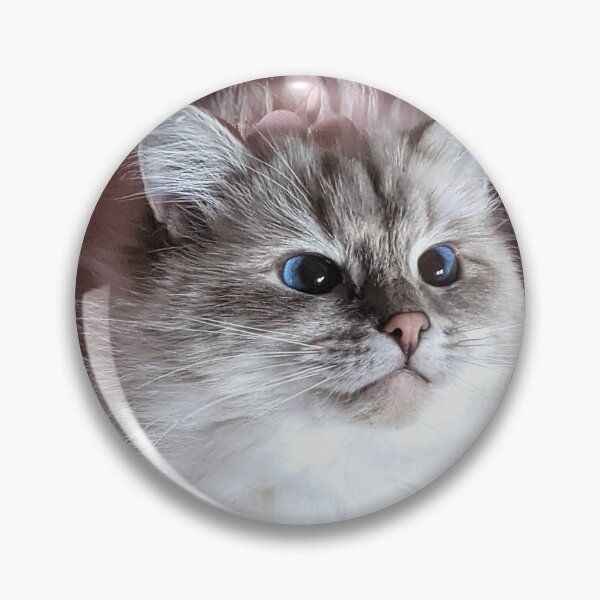 Item preview, Saoirse the ragdoll cat  designed and sold by Fluffycat2020.
