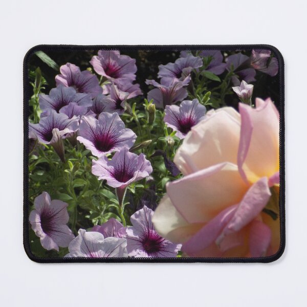 Artikelvorschau, Gartenpetunie mit Teerose entworfen und verkauft von DragonCGallery.