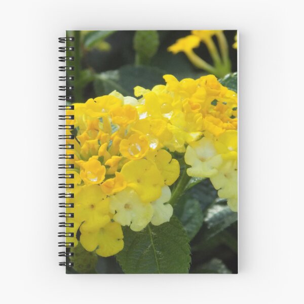 Item preview, Common Lantana designed and sold by DragonCGallery.
