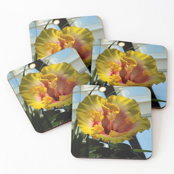 Item preview, Chinese Hibiscus designed and sold by DragonCGallery.
