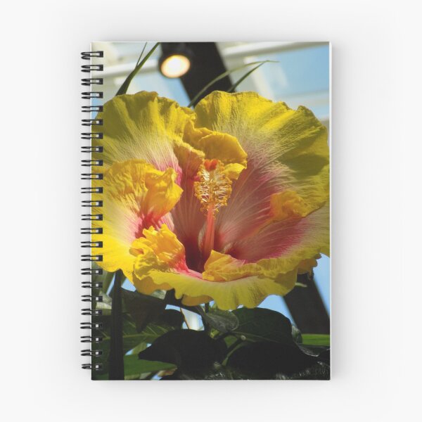 Item preview, Chinese Hibiscus designed and sold by DragonCGallery.