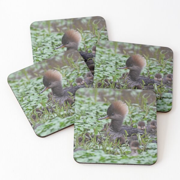 Item preview, Hooded Merganser Family Photo designed and sold by LauraWolfArtist.