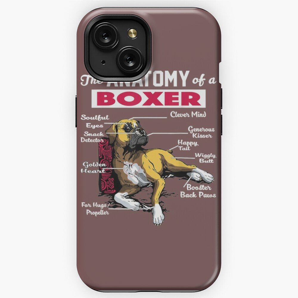 Anatomy of a Boxer Dog Funny Boxer